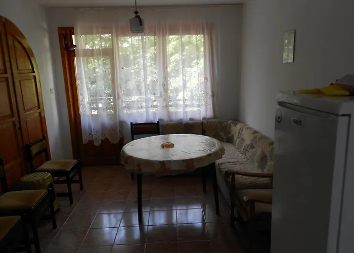 Πανσιόν Nelly